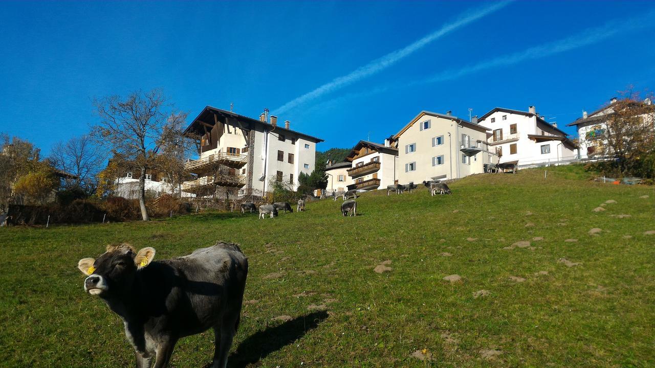 Il Cardo Trentino Apartman Bedollo Kültér fotó