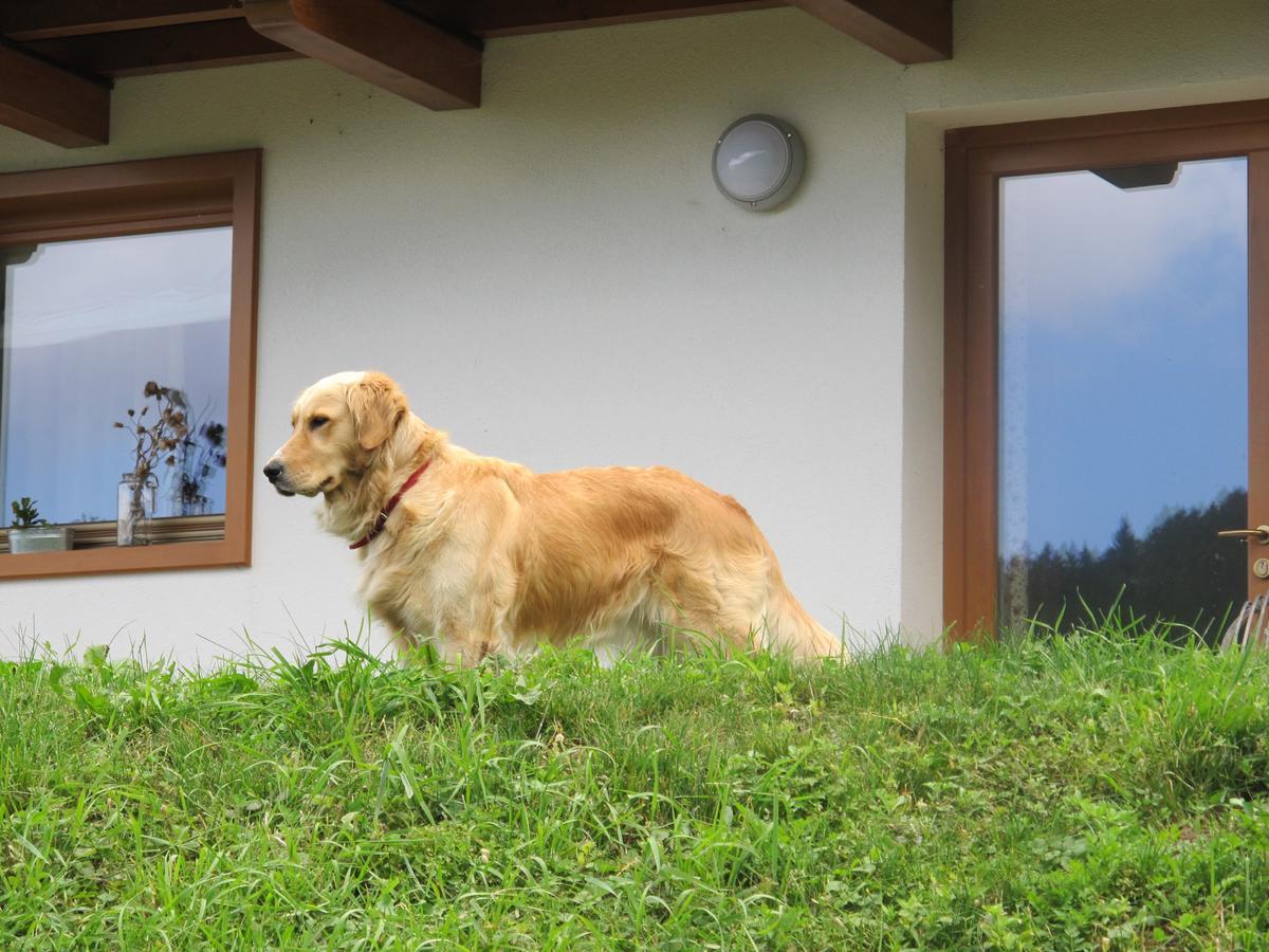 Il Cardo Trentino Apartman Bedollo Kültér fotó
