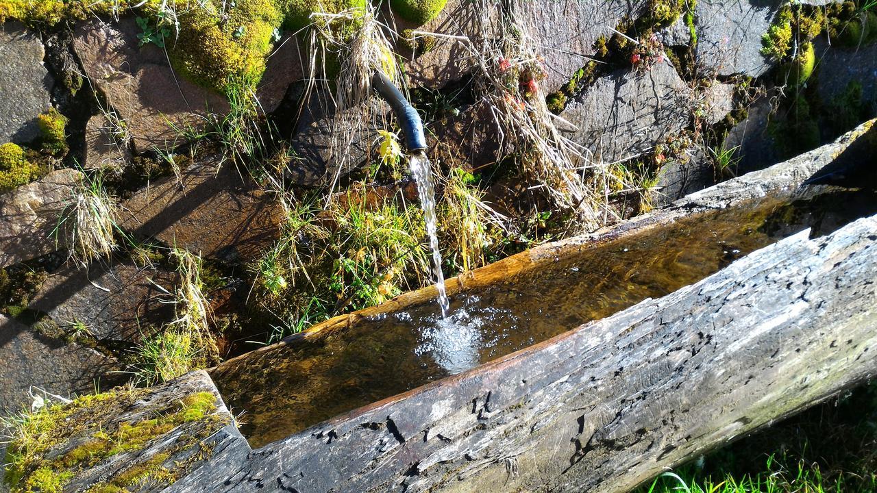 Il Cardo Trentino Apartman Bedollo Kültér fotó