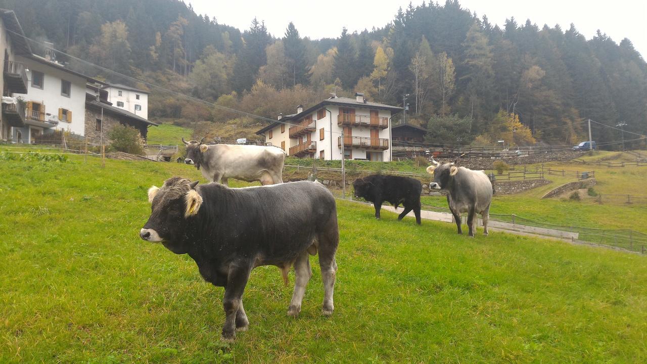 Il Cardo Trentino Apartman Bedollo Kültér fotó