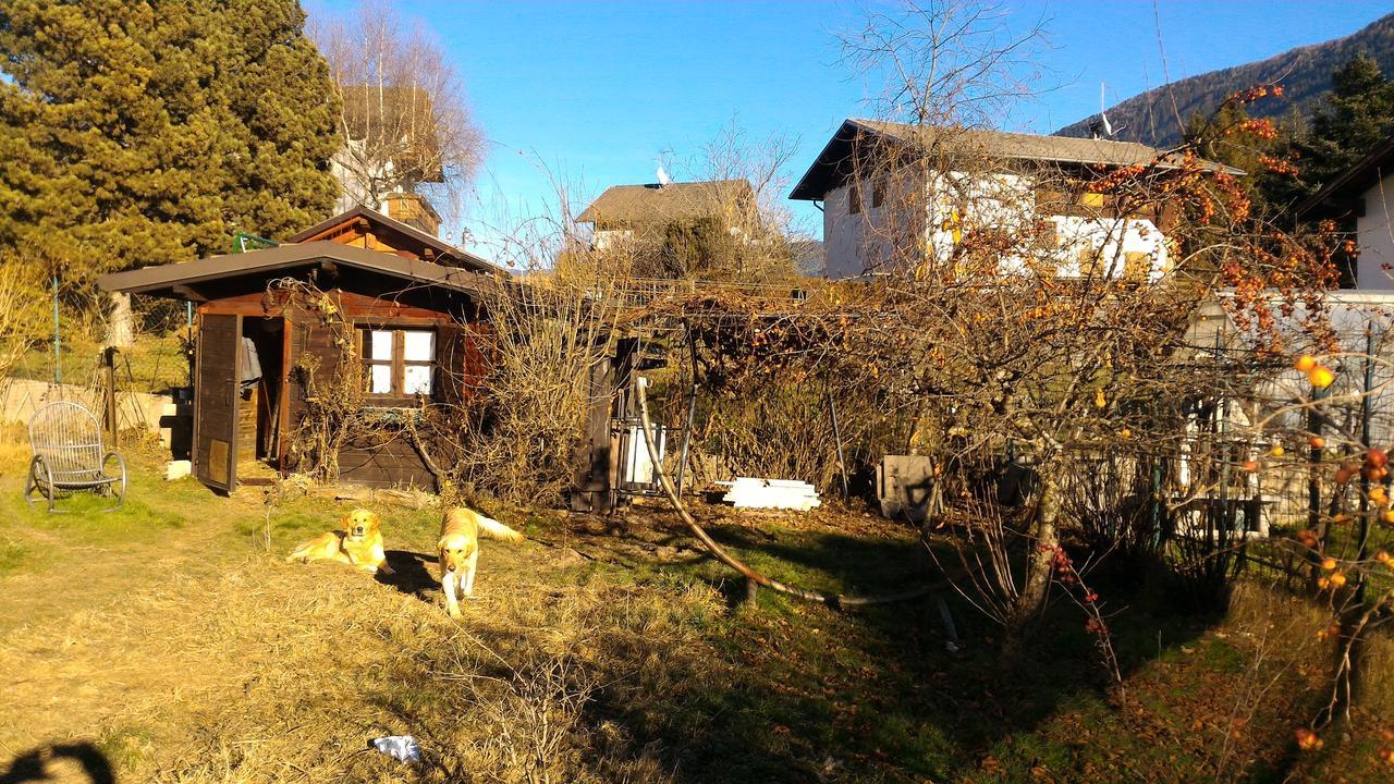 Il Cardo Trentino Apartman Bedollo Kültér fotó